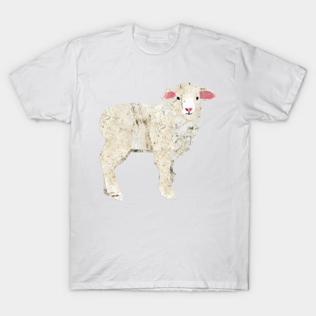 Lamb T-Shirt by Babban Gaelg